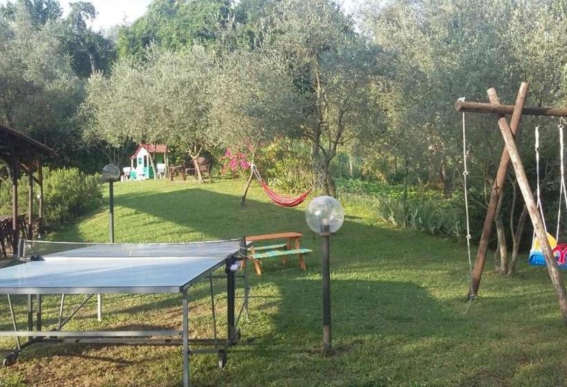 פנסיון La Casa Rosa