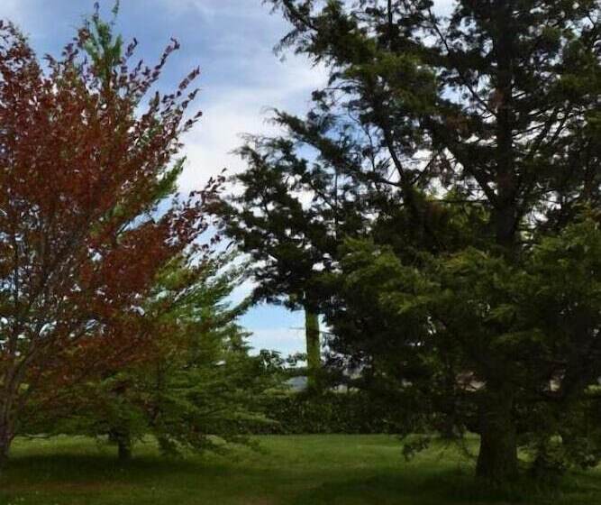 Residence La Quiete   5 Mins By Car From City Center 10 Mins From Langhe & Roero