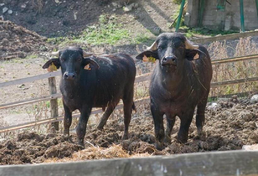 ホテル Agriturismo Alla Vecchia Quercia