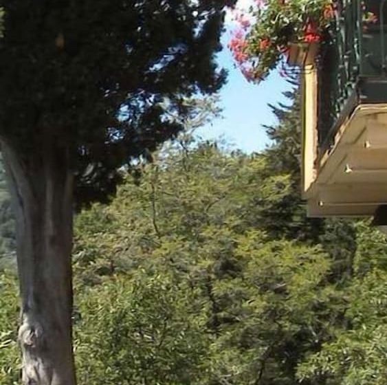 فندق Agriturismo Casa Del Bosco