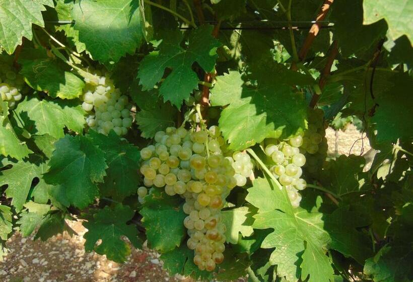 酒店 Agriturismo Circugnano