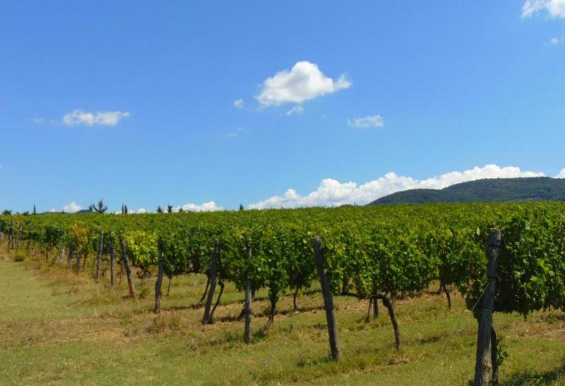 酒店 Agriturismo Circugnano