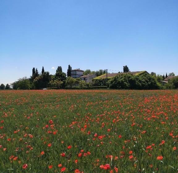 Отель Agriturismo Corte Spino