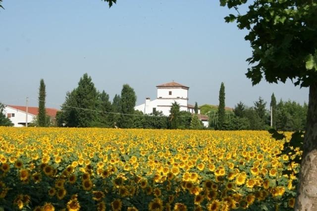 Отель Agriturismo Corte Spino