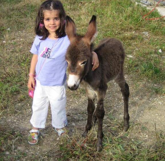 فندق Agriturismo Il Casale