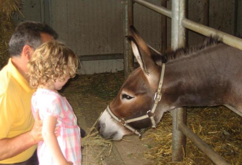 فندق Agriturismo Il Casale