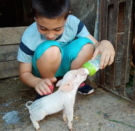 فندق Agriturismo Il Casale