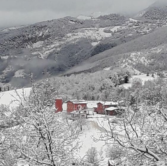 בית מלון כפרי Agriturismo La Vita è Bella
