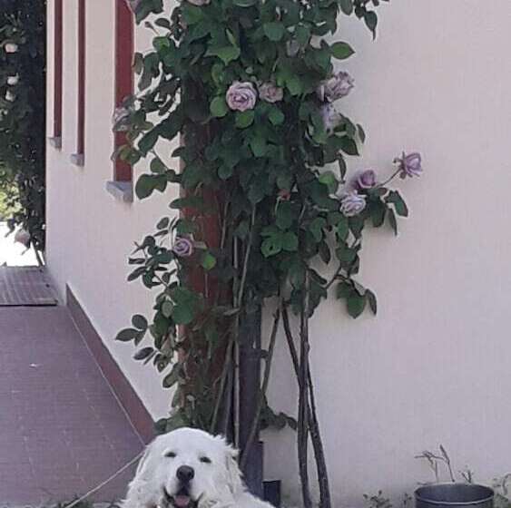 בית מלון כפרי Agriturismo La Vita è Bella