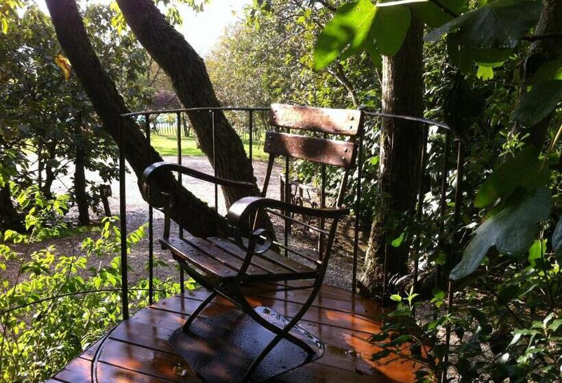 בית מלון כפרי Agriturismo Poggio Salvi