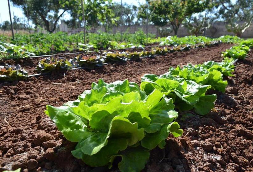 호텔 Agriturismo Residenza Gemma