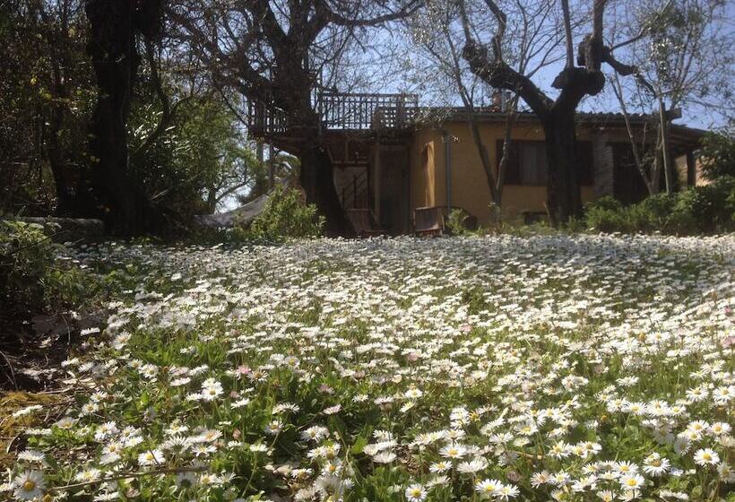 فندق Agriturismo Via Del Campo