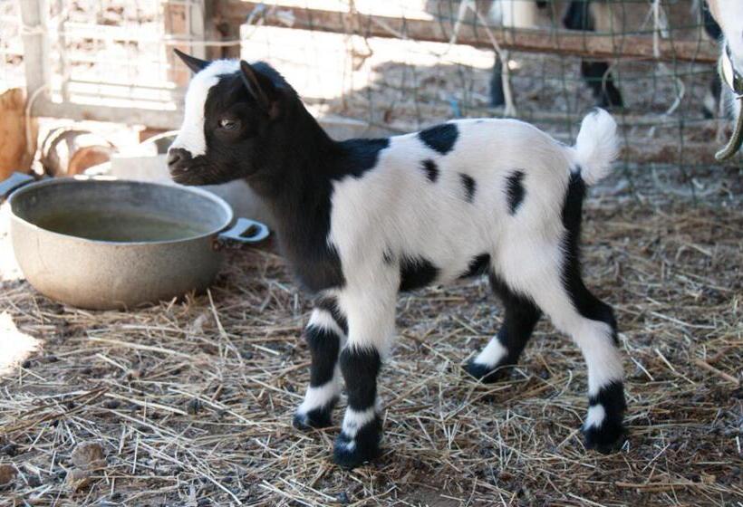 Отель Cascina La Romana