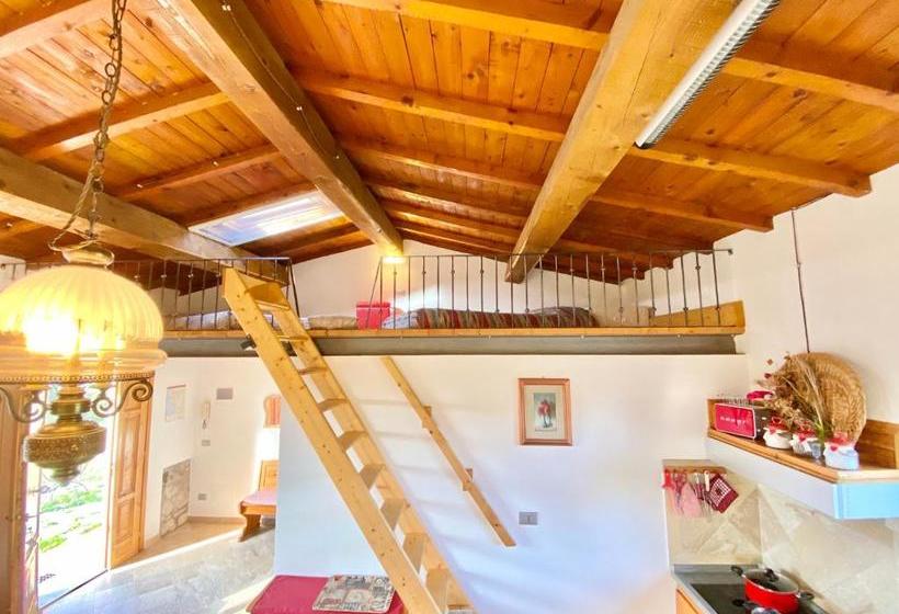 Отель Il Canneto Di Pomaia