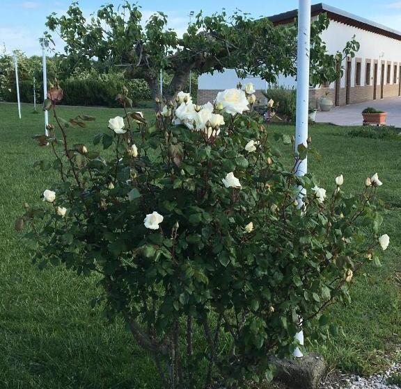 호텔 La Massarìa Agriresort