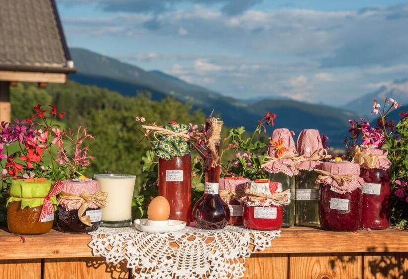 בית מלון כפרי Oberbaumgartnerhof