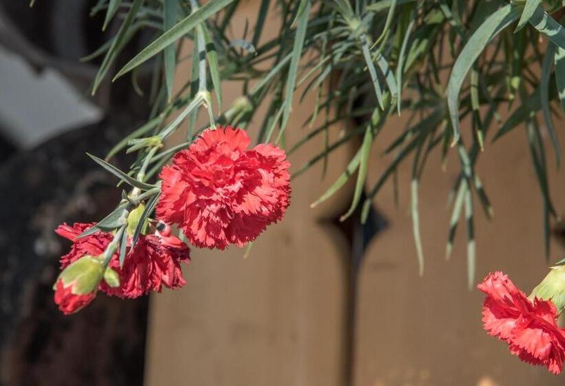 בית מלון כפרי Oberbaumgartnerhof