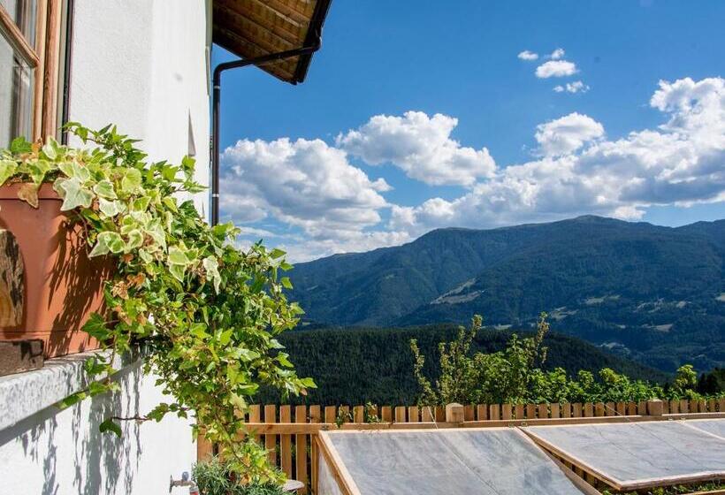 בית מלון כפרי Oberbaumgartnerhof