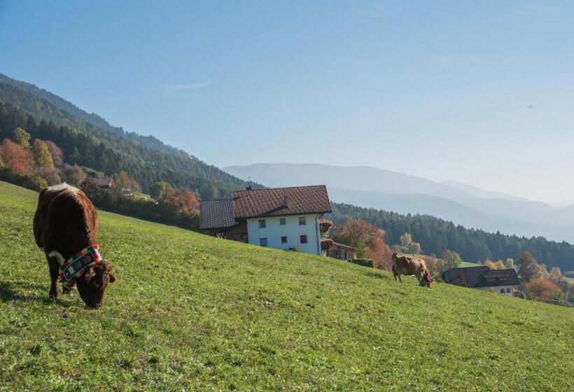 בית מלון כפרי Oberbaumgartnerhof