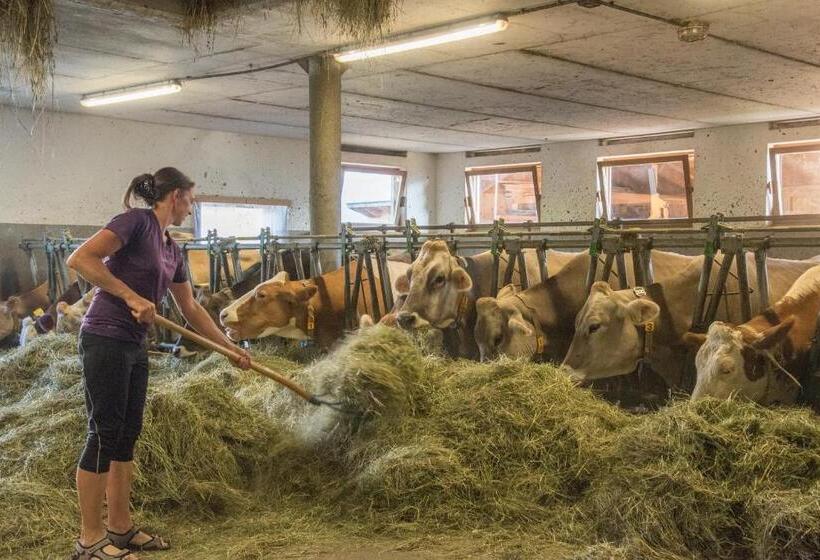 בית מלון כפרי Oberbaumgartnerhof