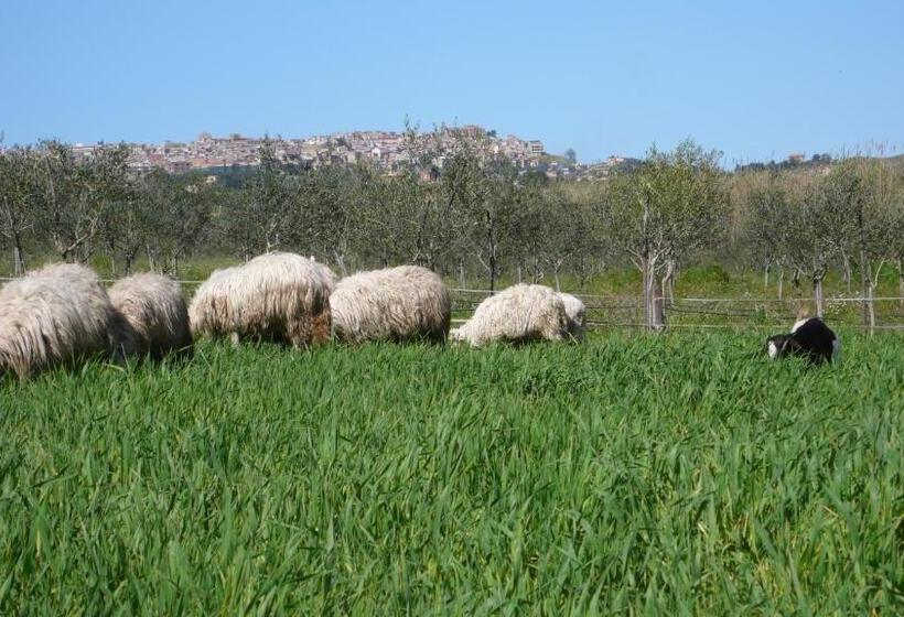 酒店 Tenuta Bartoli Maison De Charme