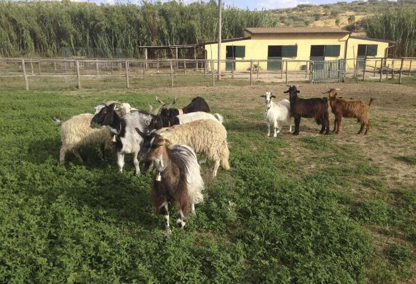 酒店 Tenuta Bartoli Maison De Charme