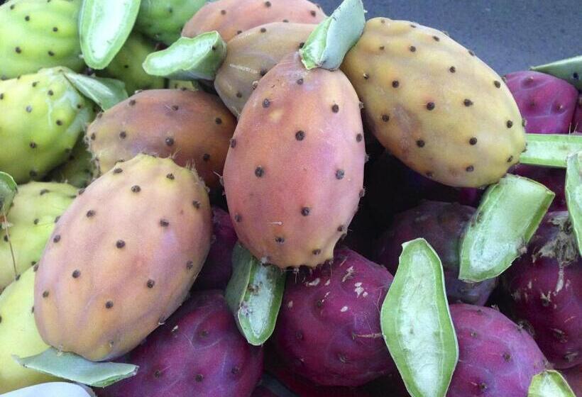 酒店 Tenuta Bartoli Maison De Charme