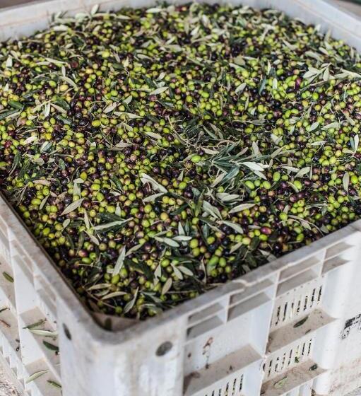 فندق Tenuta San Felice