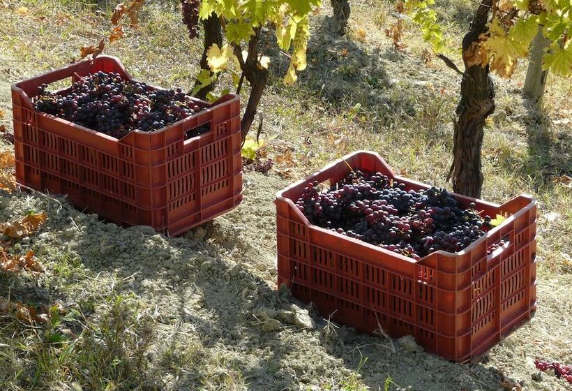 ホテル Tenuta Tenaglia