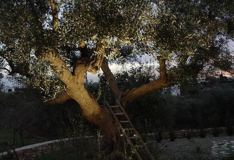 酒店 Trullo Sereno Angelo