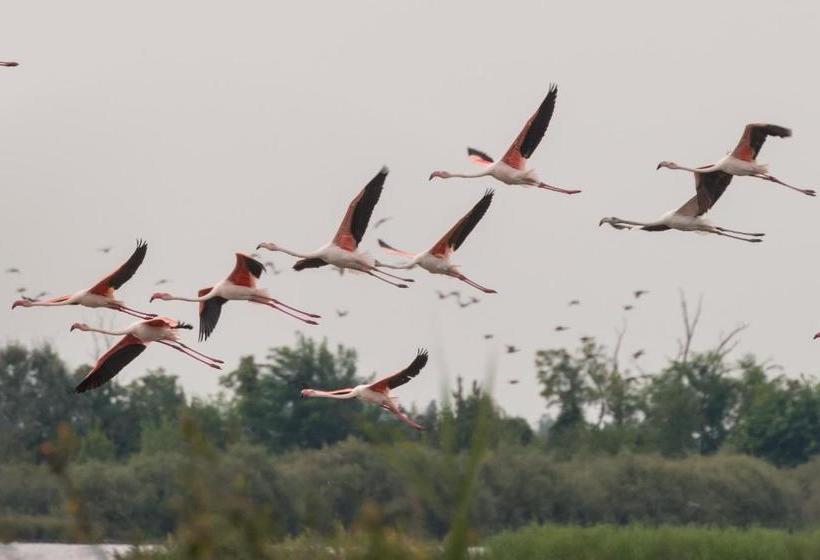 ホテル Valgrande Bibione Casone