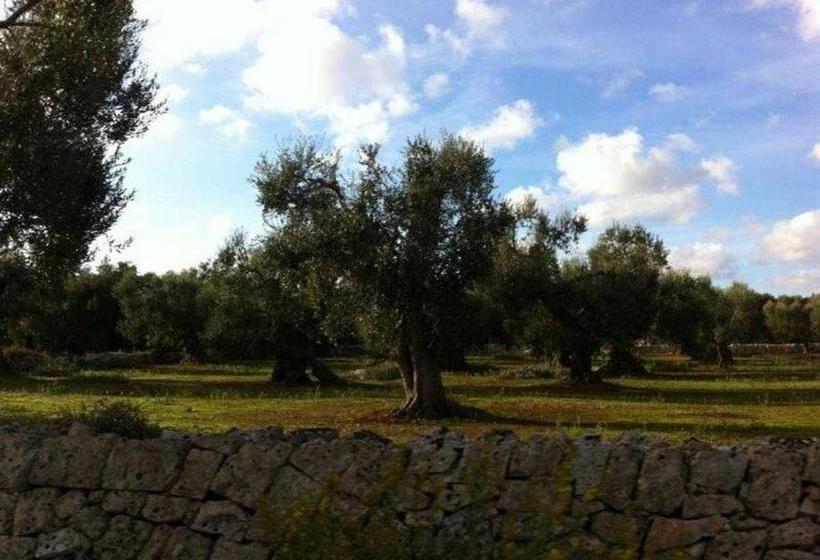 پانسیون Casa Barzò   Surrounded By Olive Trees