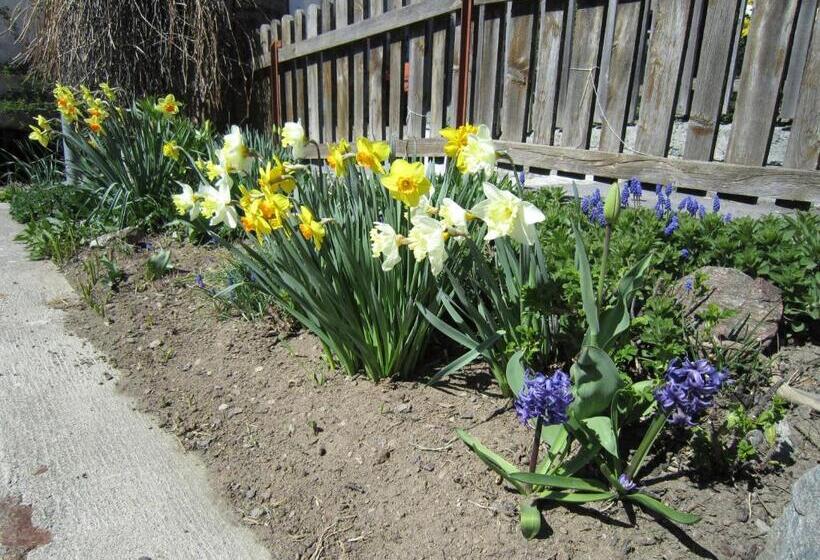 Aparthotel Garni Haus Hubertus