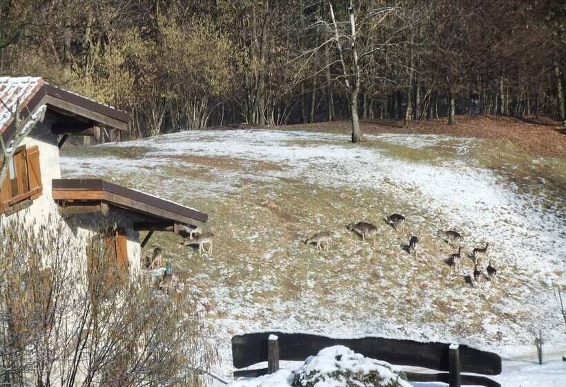 בית מלון כפרי Agriturismo Agrimon