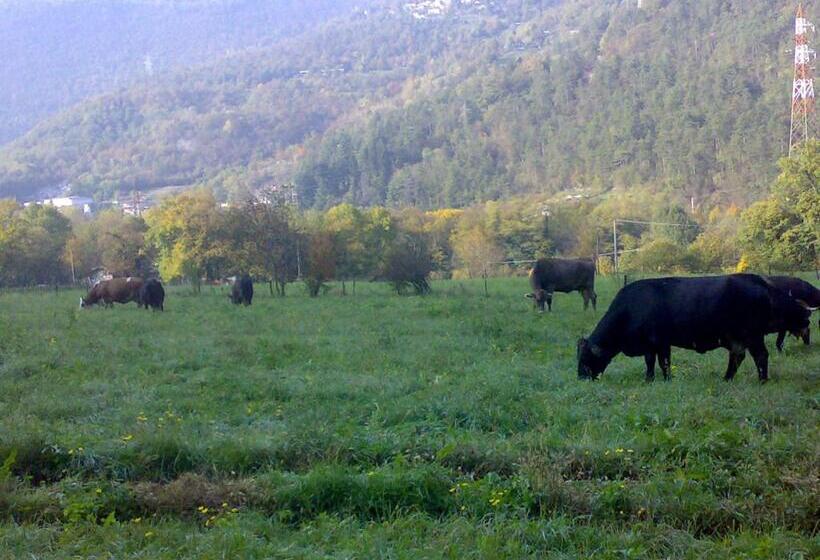 בית מלון כפרי Agriturismo Biobiò