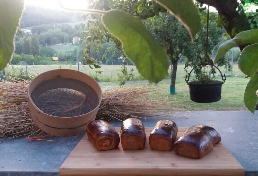 ホテル Agriturismo Cà Sorci