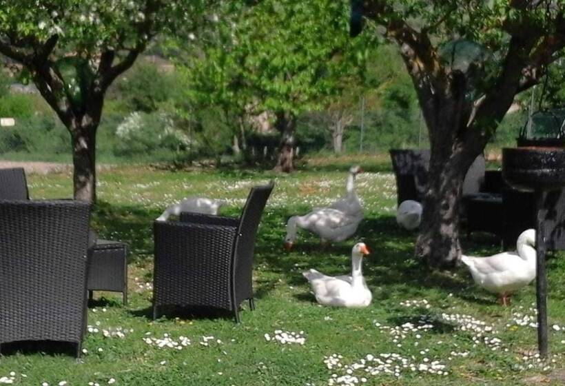 ホテル Agriturismo Cà Sorci