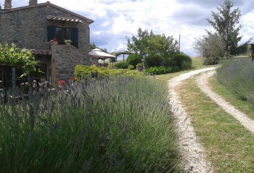هتل Agriturismo Cantinaccia Di Sopra