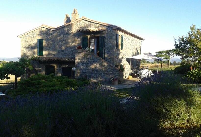 هتل Agriturismo Cantinaccia Di Sopra