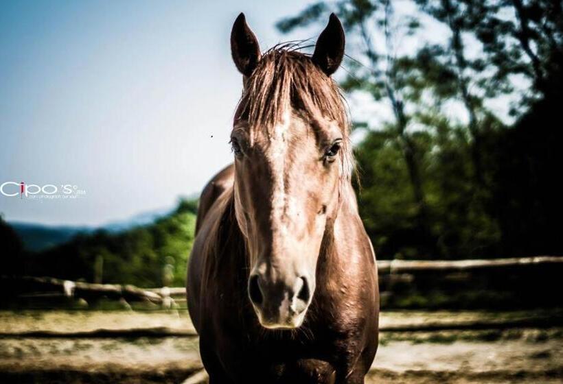 فندق Agriturismo Cascina Del Vai