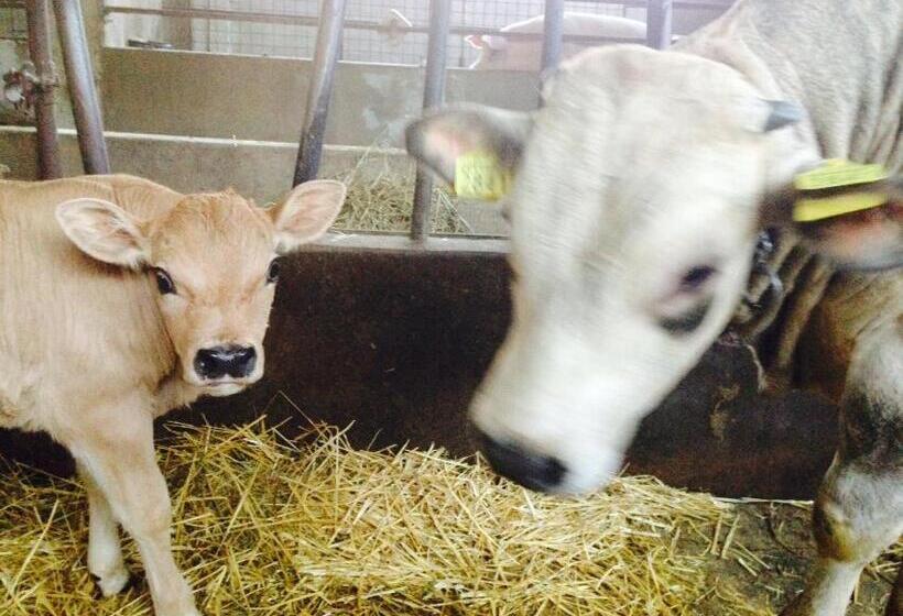 호텔 Agriturismo Cascina Del Vai