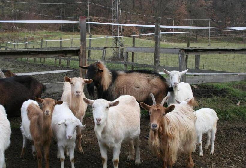 호텔 Agriturismo Cascina Del Vai