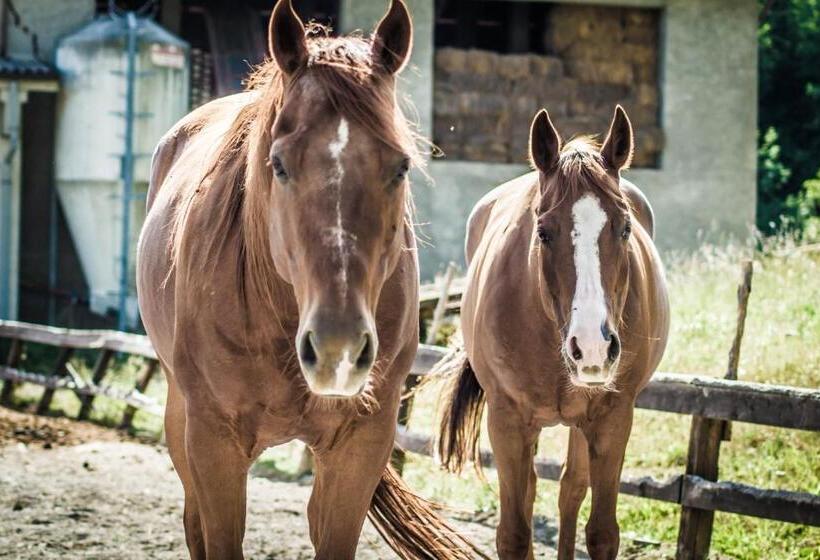 فندق Agriturismo Cascina Del Vai