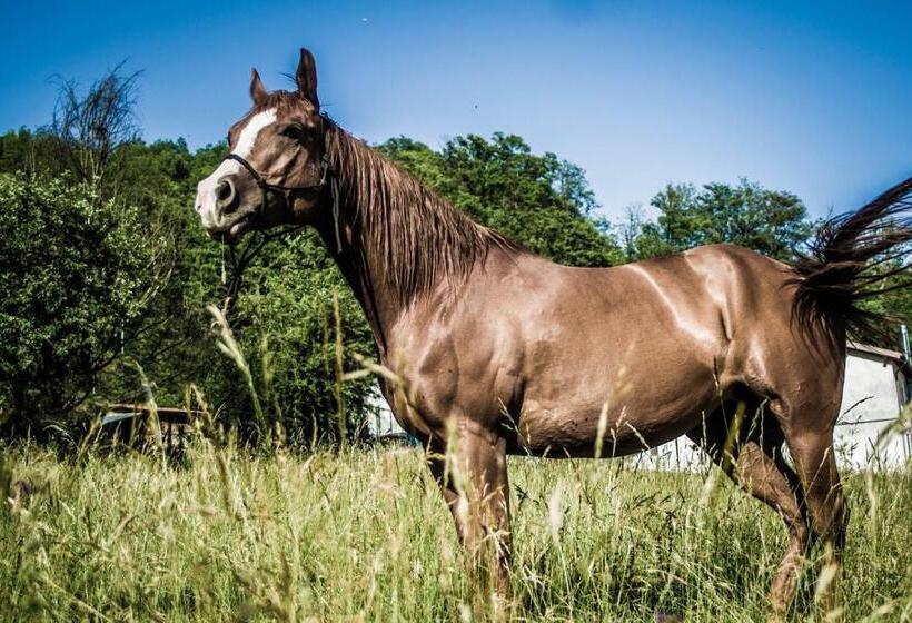 فندق Agriturismo Cascina Del Vai