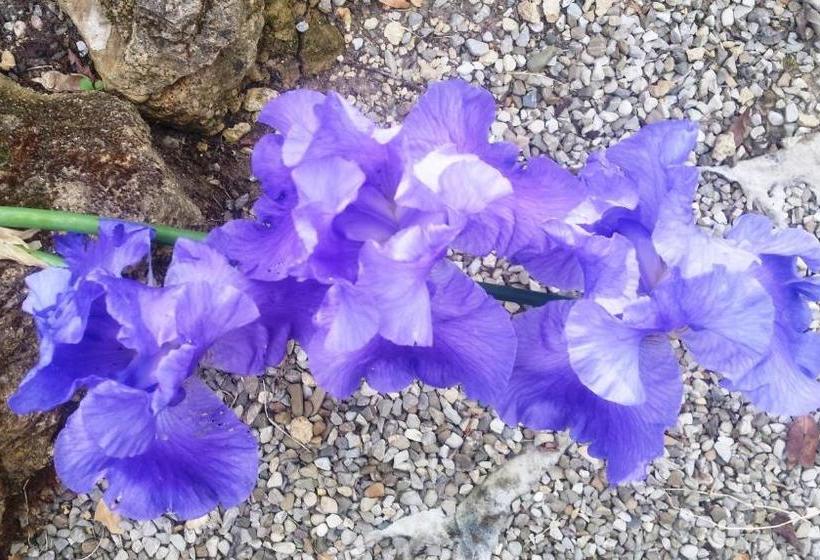 فندق Agriturismo Il Cantastorie