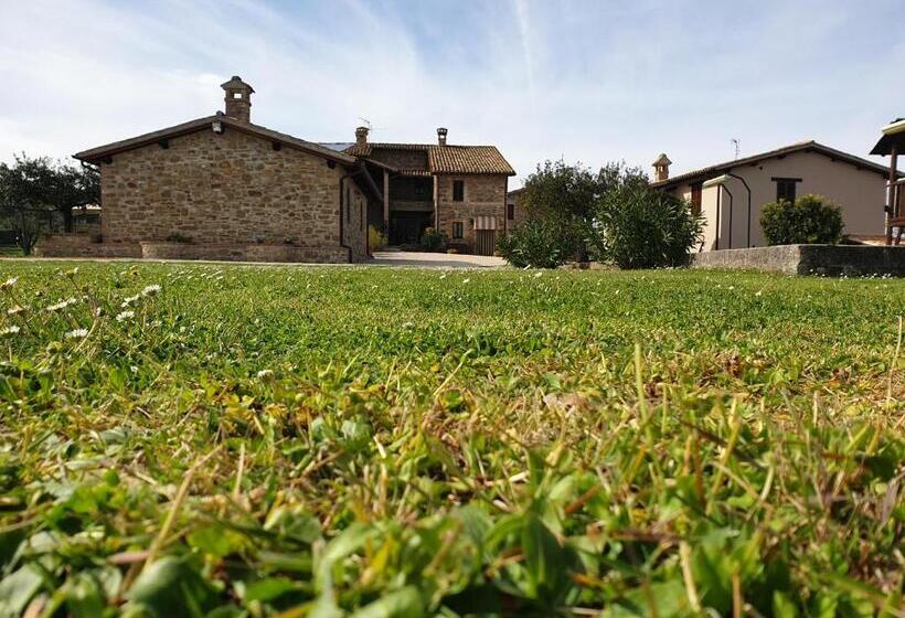 ホテル Agriturismo Il Cicaleto