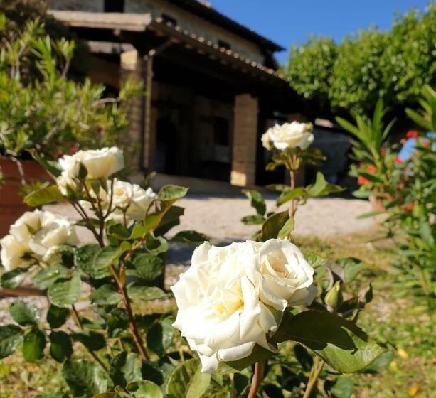 ホテル Agriturismo Il Cicaleto