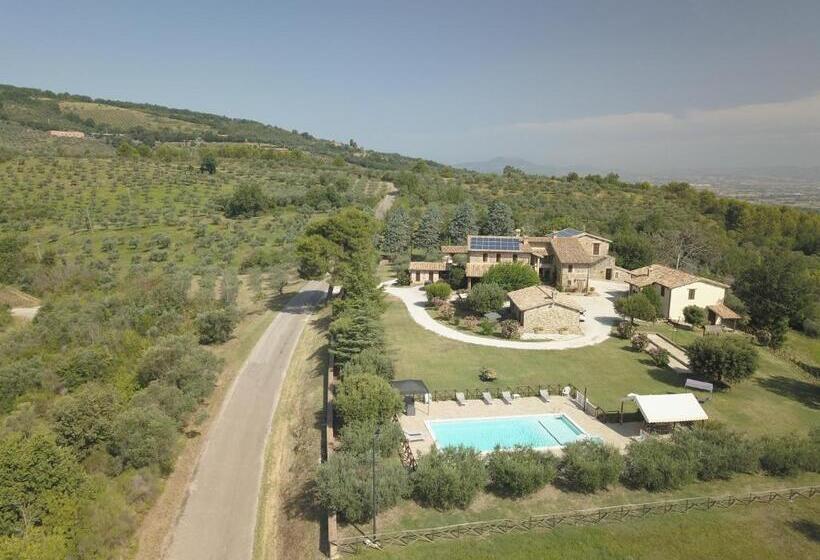 ホテル Agriturismo Il Cicaleto