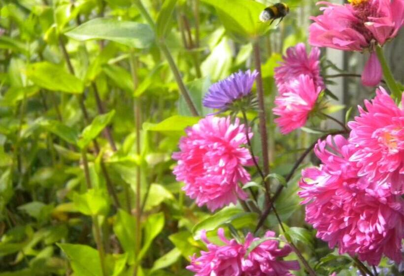 فندق Agriturismo Il Magicorto