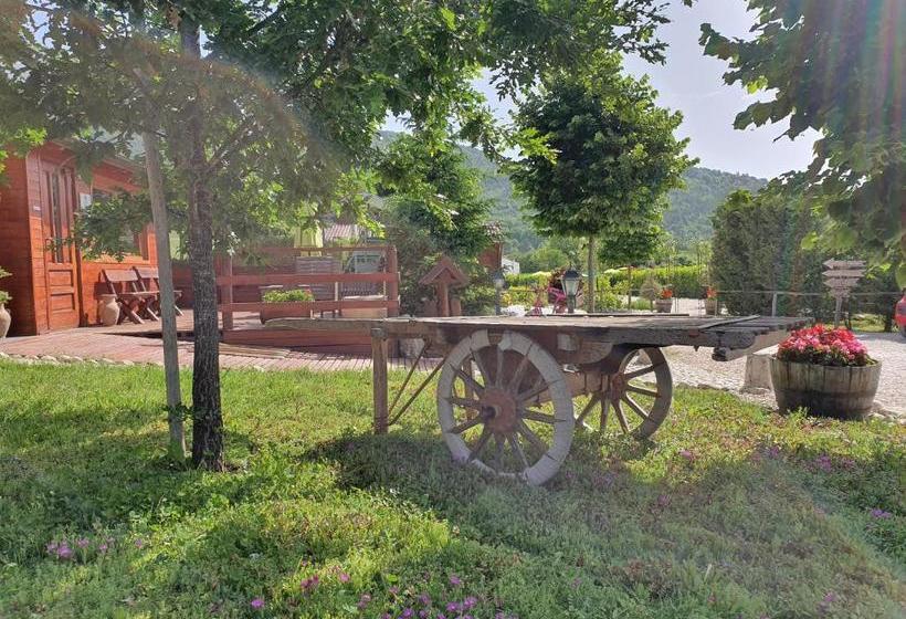 בית מלון כפרי Agriturismo Il Timo